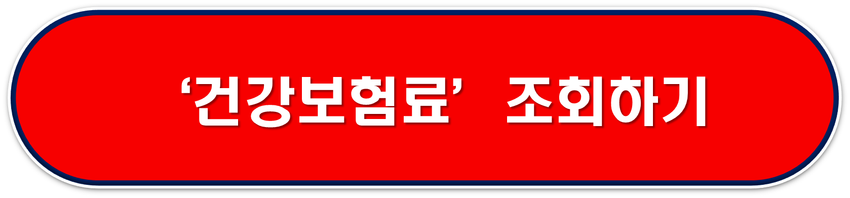 건강보험료 조회 버튼