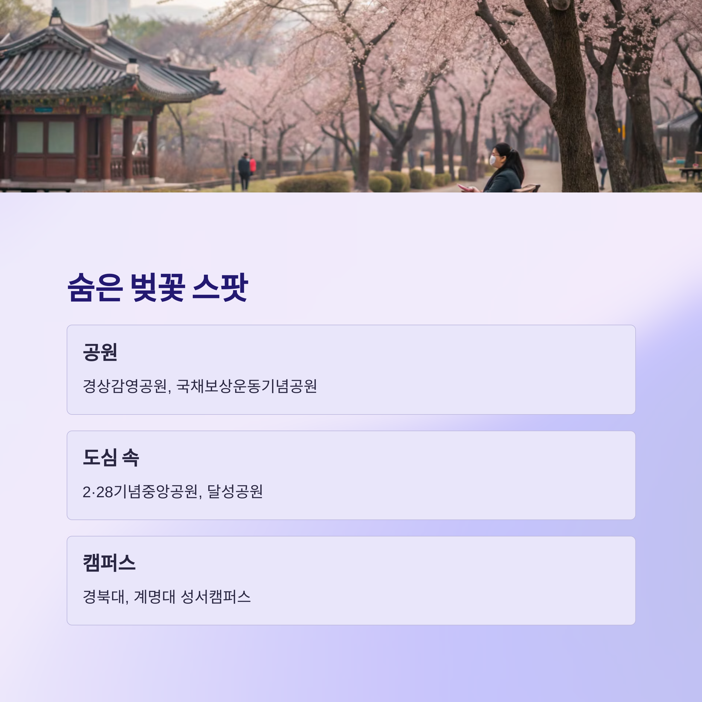 대구 숨은 벚꽃 스팟