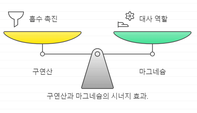 구연산과 마그네슘