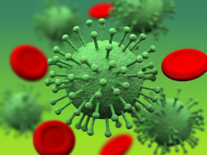 B형 독감을 유발하는 인플루엔자 바이러스 이미지