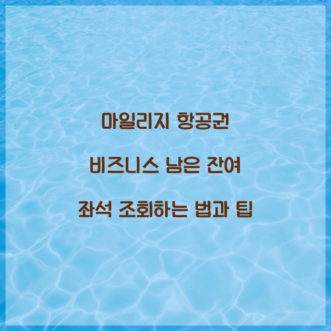 마일리지 항공권 비즈니스 남은 잔여 좌석 