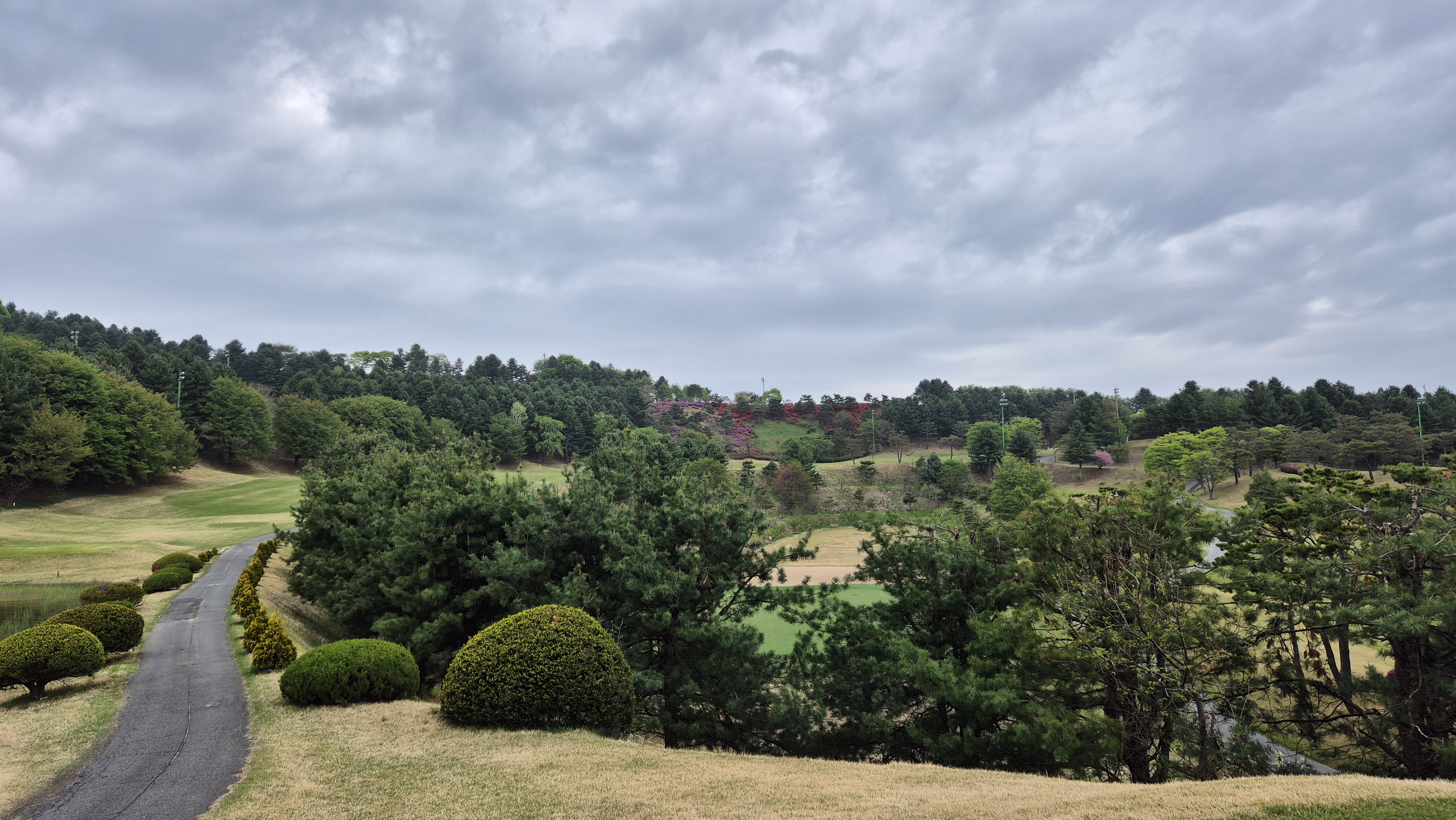 시그너스cc 코튼-라미 코스 사진 및 공략 정보