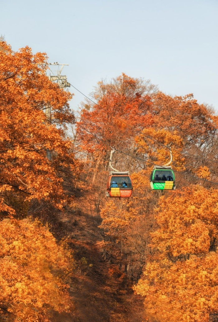 발왕산 케이블카