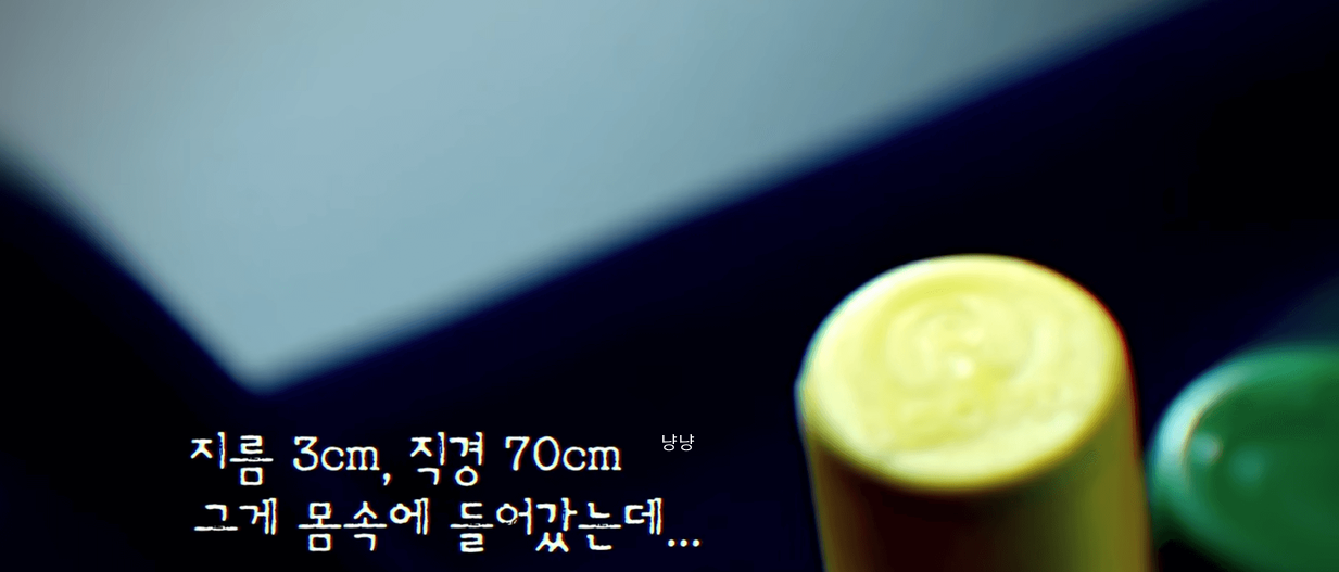 그것이 알고 싶다 막대기