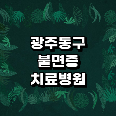 광주 동구 불면증