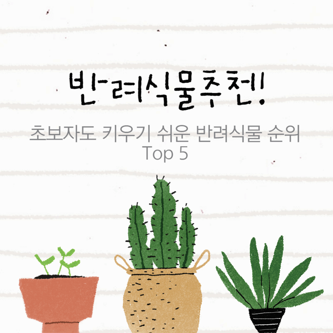 반려식물 추천! 초보자도 키우기 쉬운 반려식물 순위 Top 5