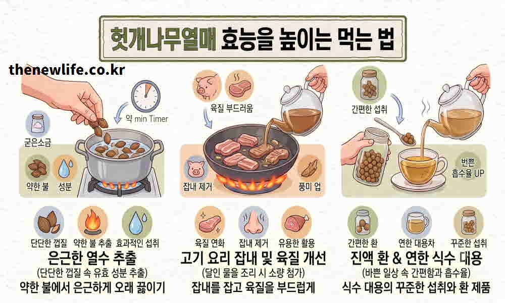 헛개나무열매 효능 높이는 먹는 방법