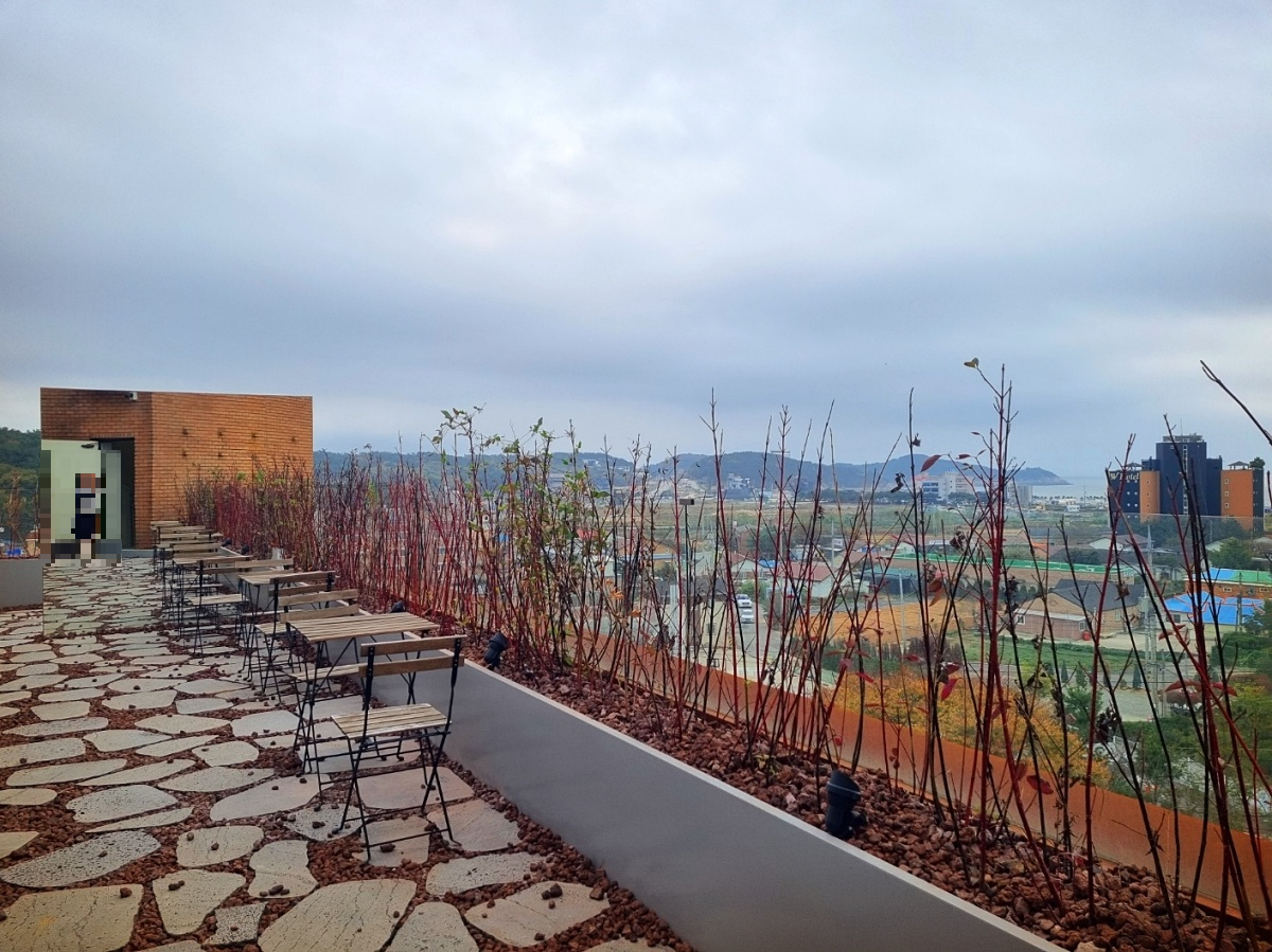 인천 핫플 영종도 을왕리 메이드림 카페: 전시, 공연, 다이닝, 베이커리로 즐기는 유니크한 매력