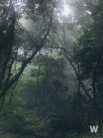 울릉도 관광안내 5