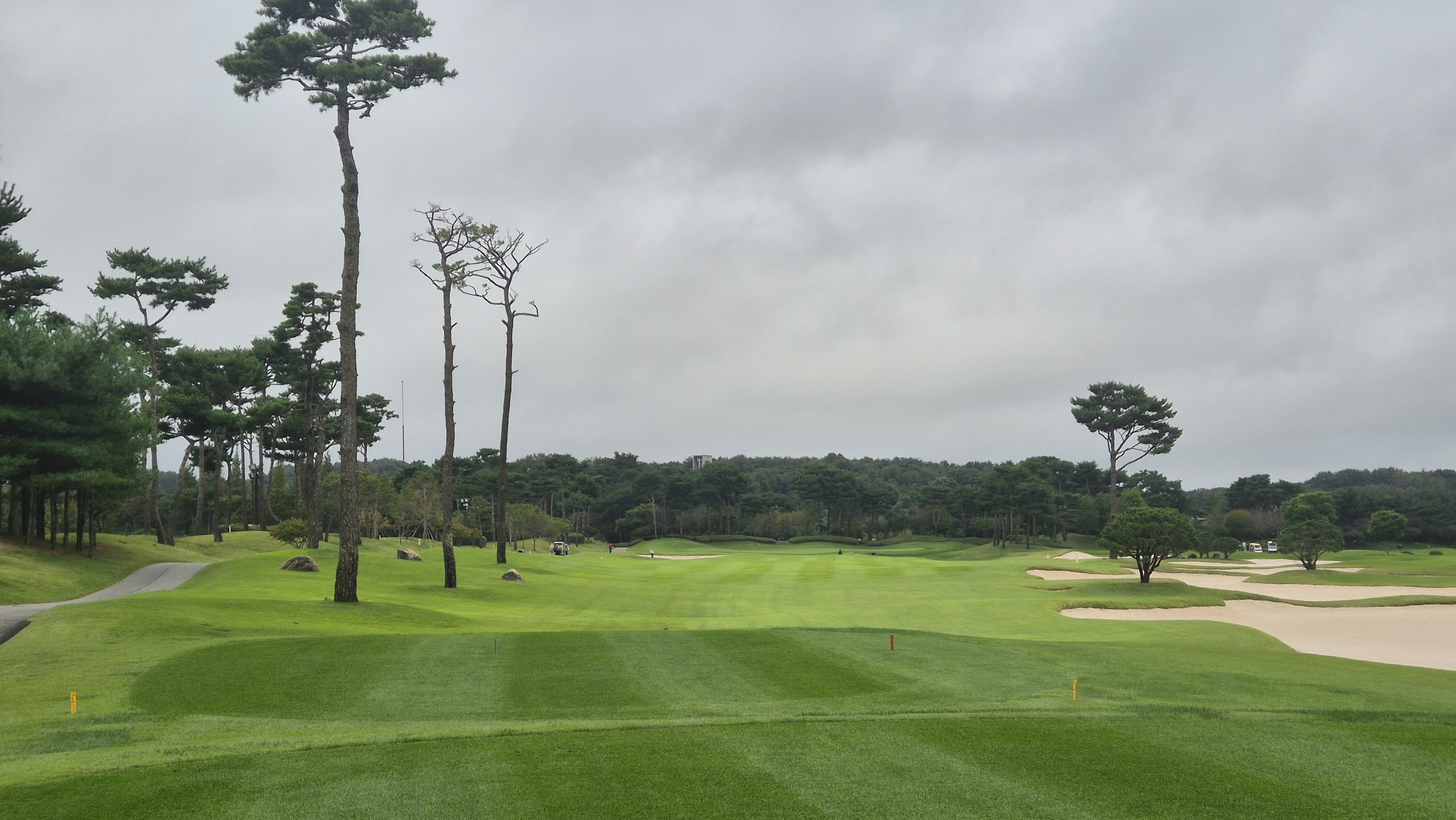 파인스톤cc 스톤 코스