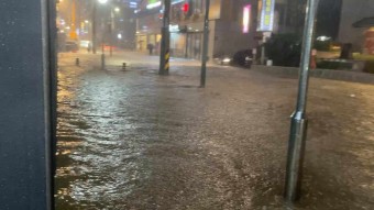 차량 침수 피해 보상 및 특별 점검 서비스