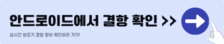 비행기 결항 확인