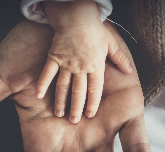 산후도우미 신청