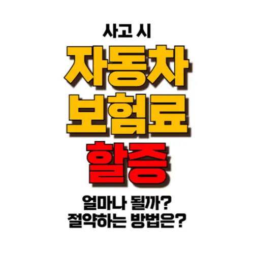 자동차 보험료 할증 썸네일