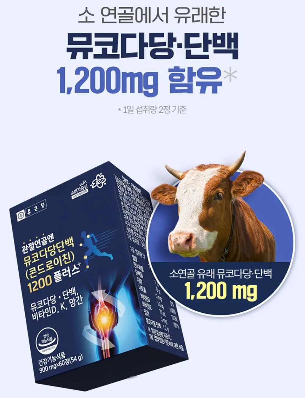 사진6