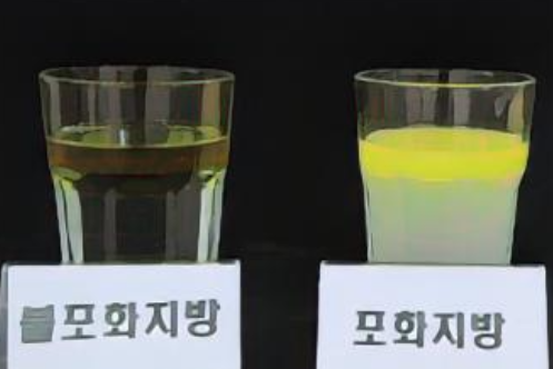 포화지방과 불포화지방 비교