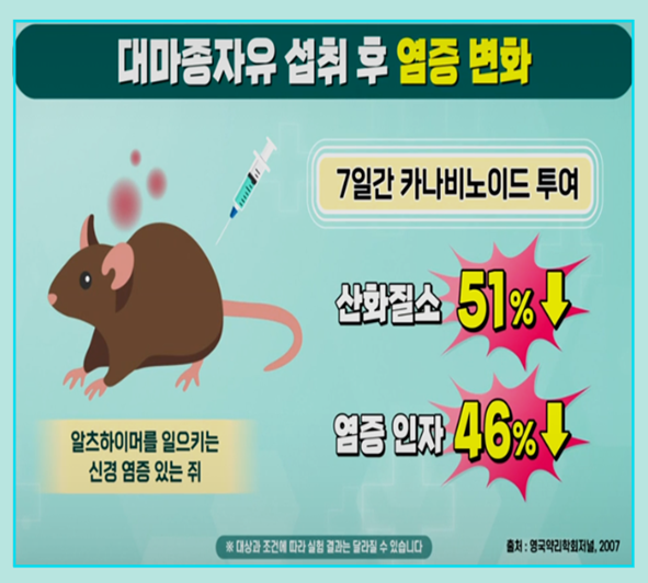 대마종자유 - 섭취 후 염증 변화