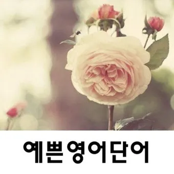 아름다운 예쁜 영어 단어 추천 top10 자료집_18