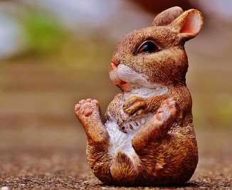 2026년 병오년 토끼띠 신년운세