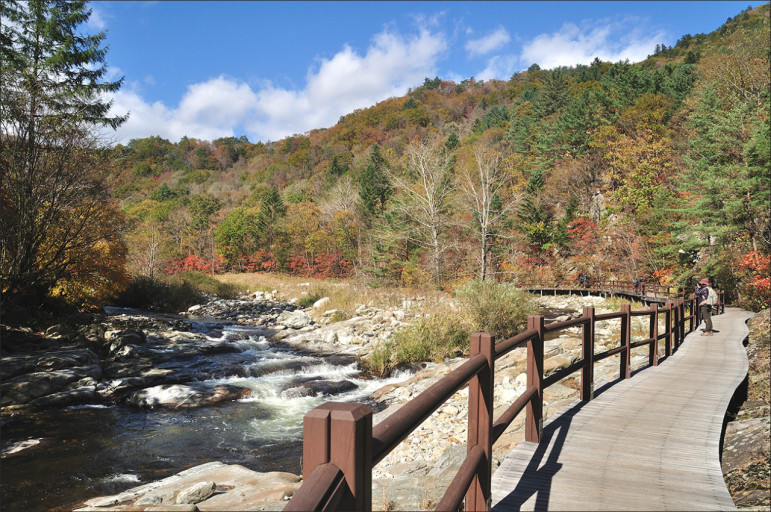 단풍 구경 명소