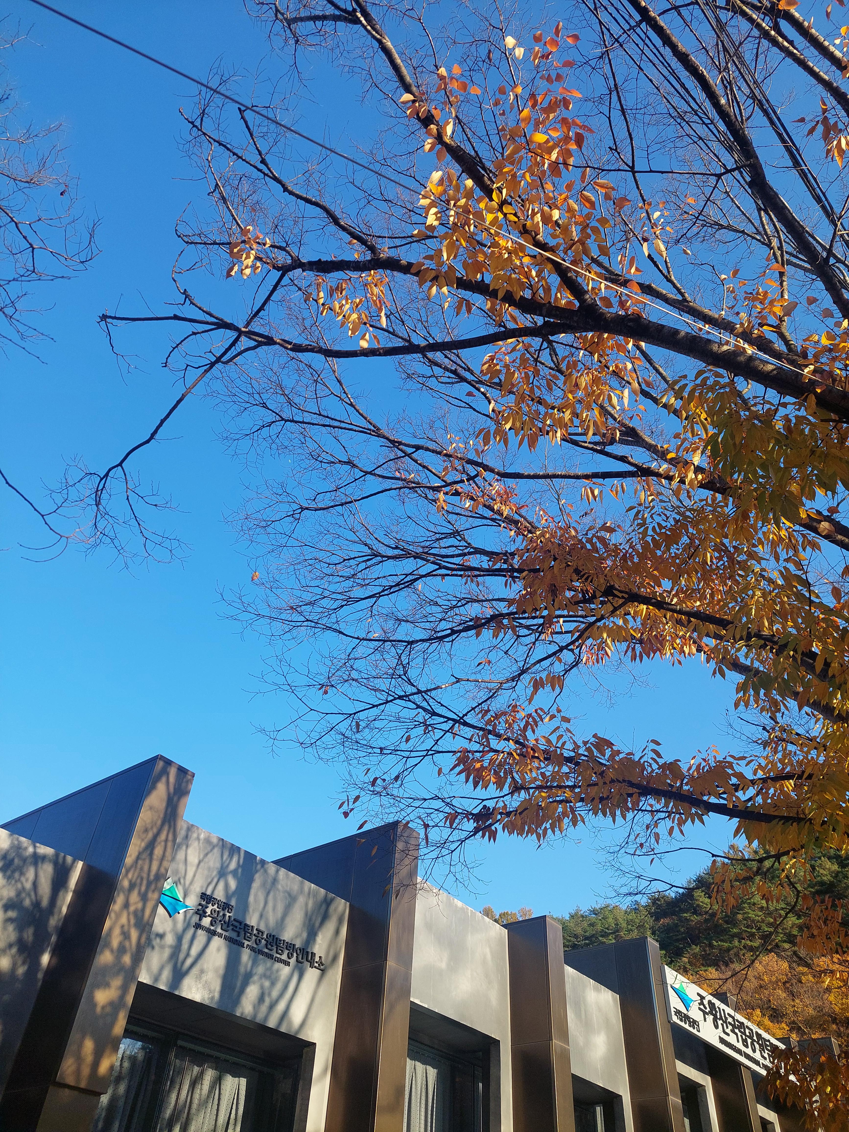 주왕산