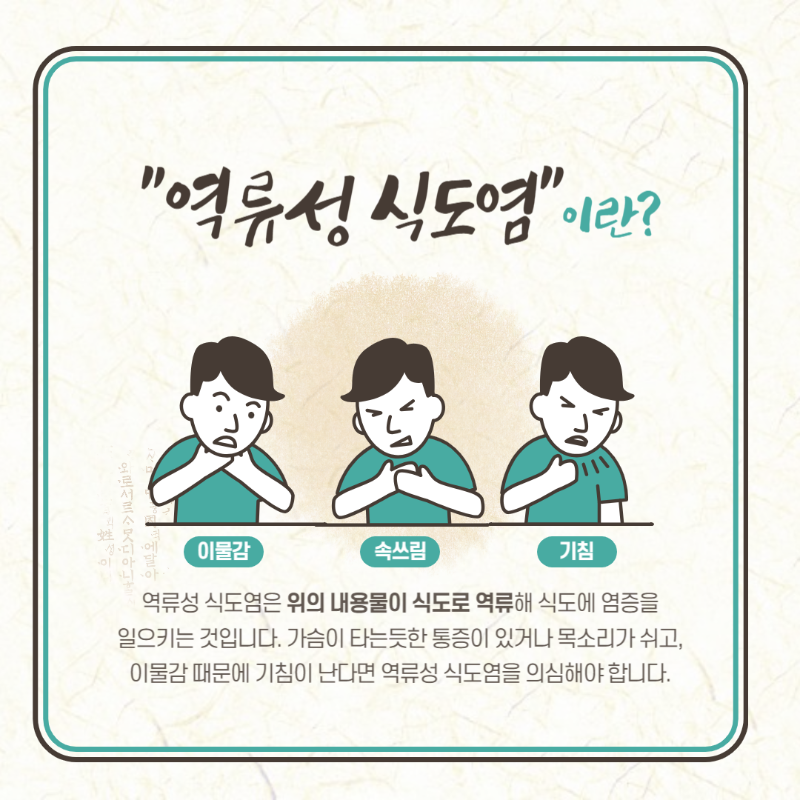 역류성 식도염 증상과 원인 및 진료과 안내