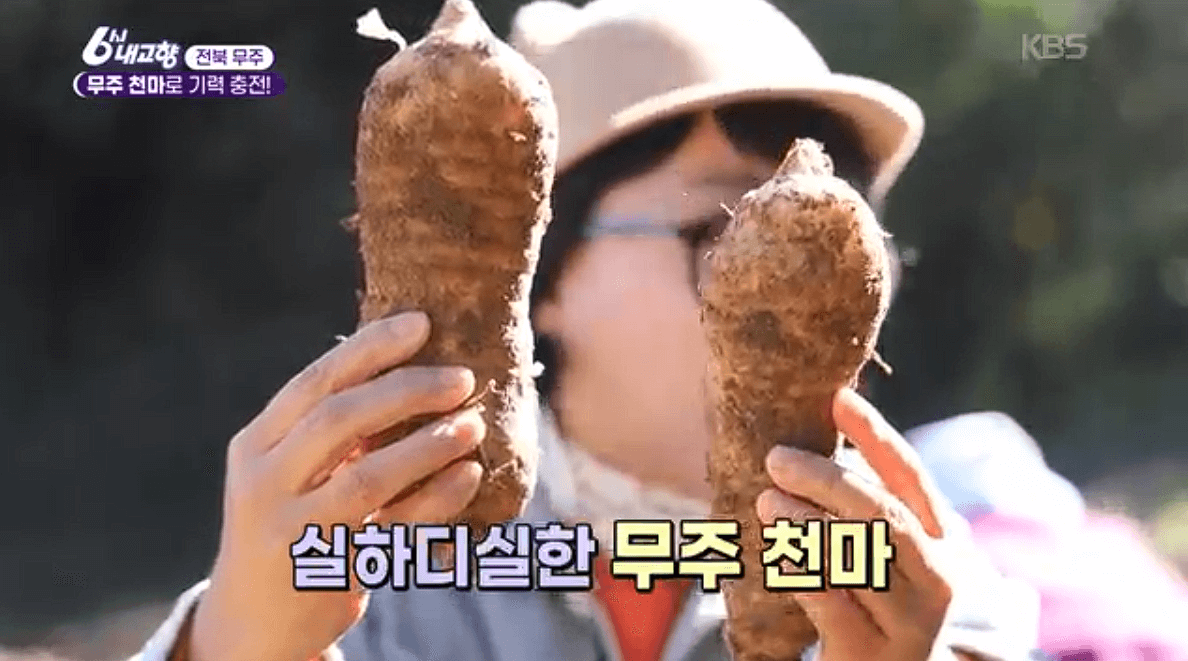 무주 천마 천마고 농축액 천마즙 '쓰러지면 천마니' 택배 배송 연락처 총정리
