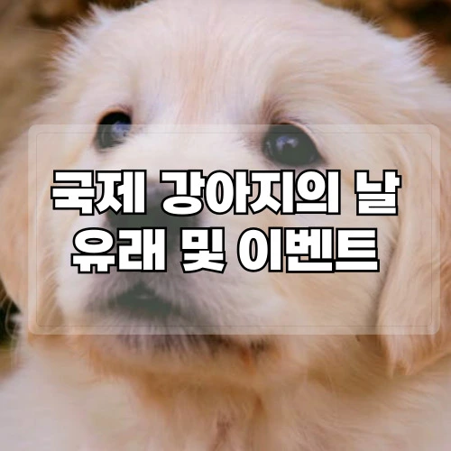 국제-강아지의-날-유래-및-이벤트