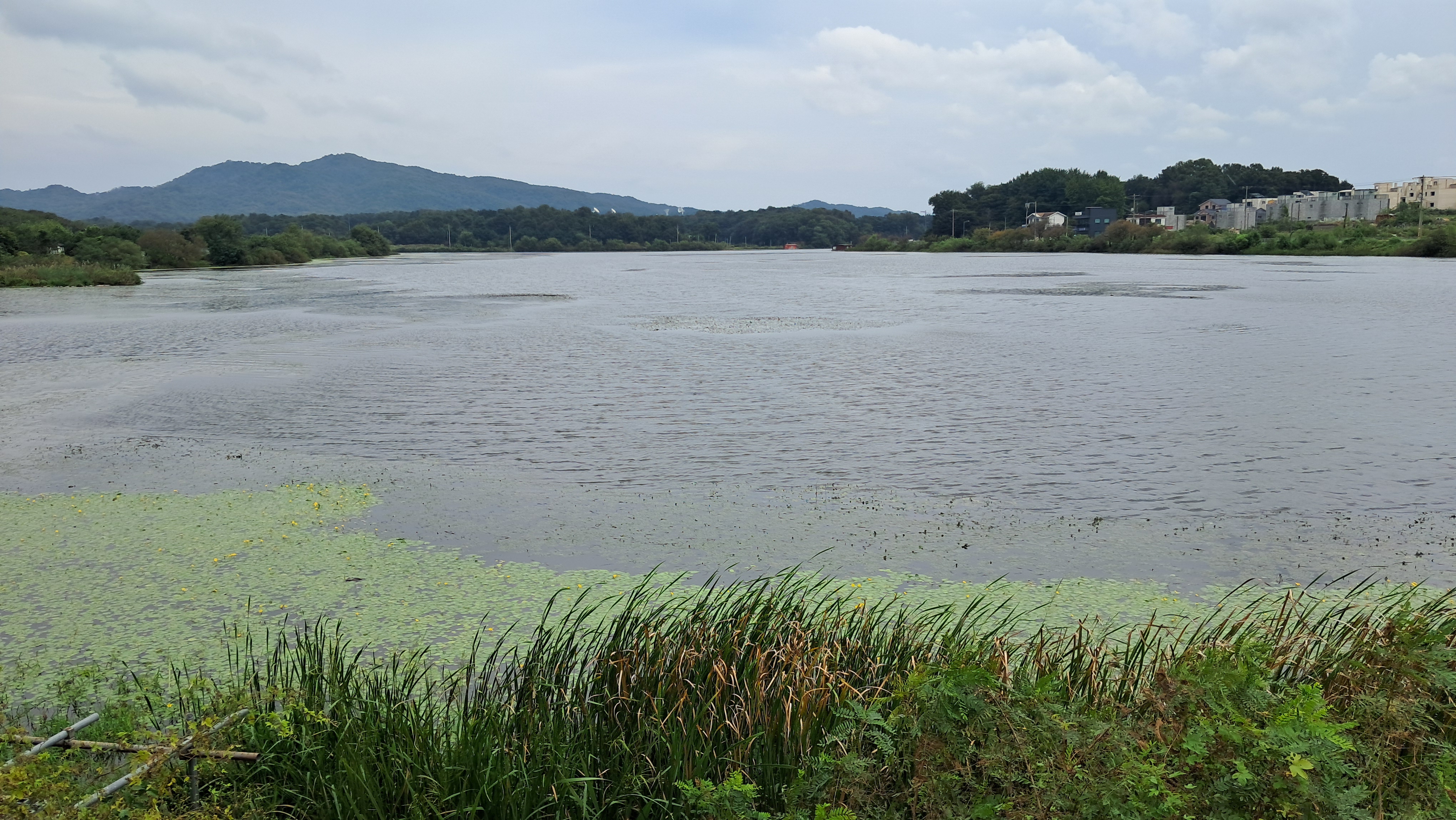 이천 성호저수지