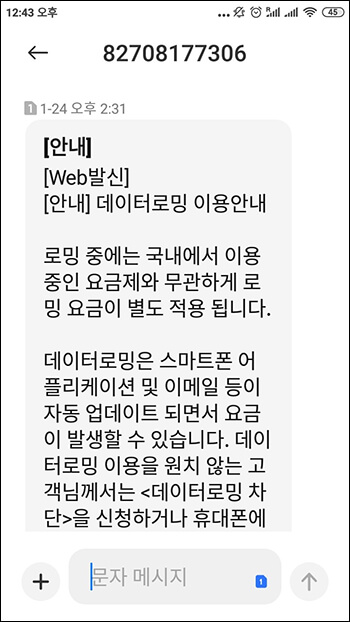 데이터로밍 이용 안내 문제