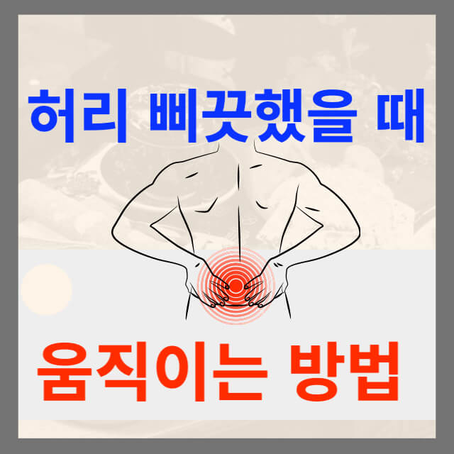 허리움직이는 법