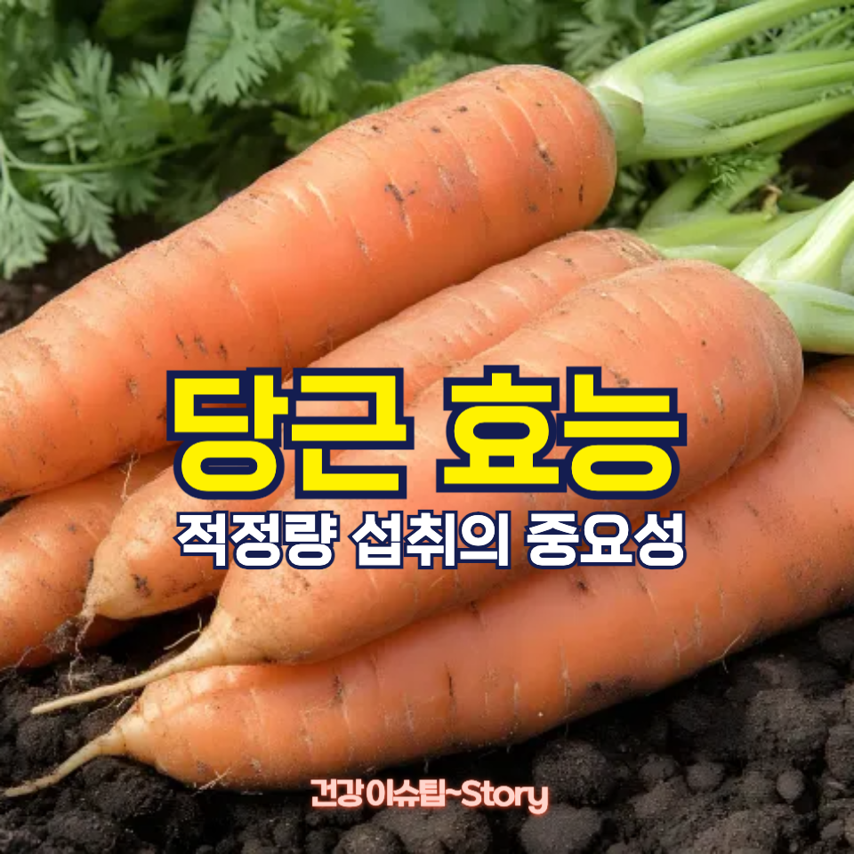 당근을 하루에 한 개씩 먹으면?