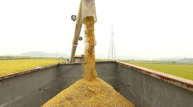 양곡관리법 개정안이란