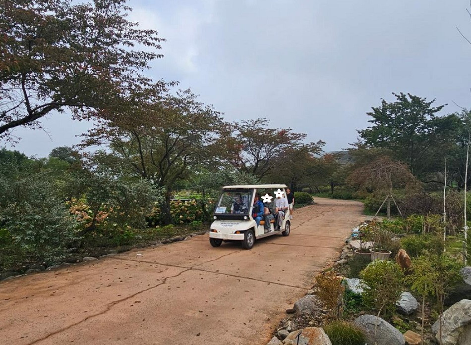 황매산 억새축제