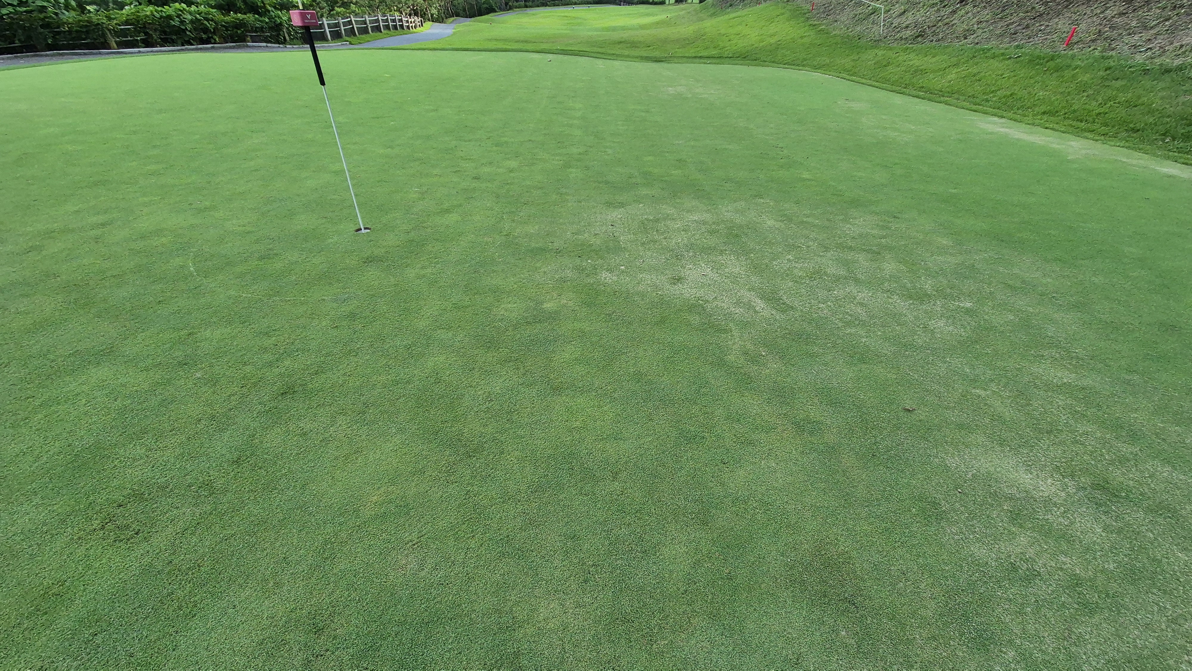 세일cc 들길-산길 코스 라운드 후기