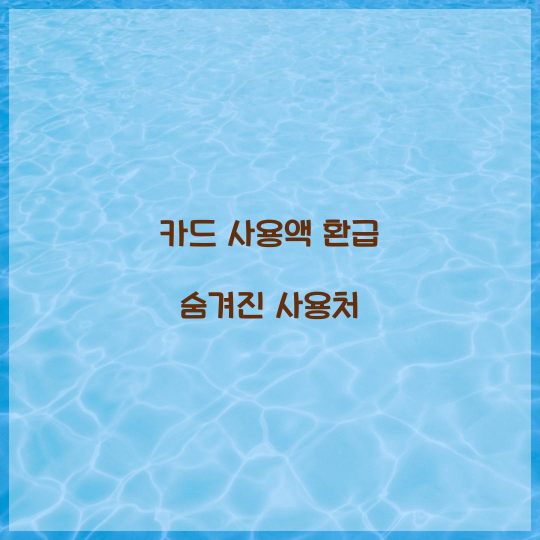 카드 사용액 환급 숨겨진 사용처