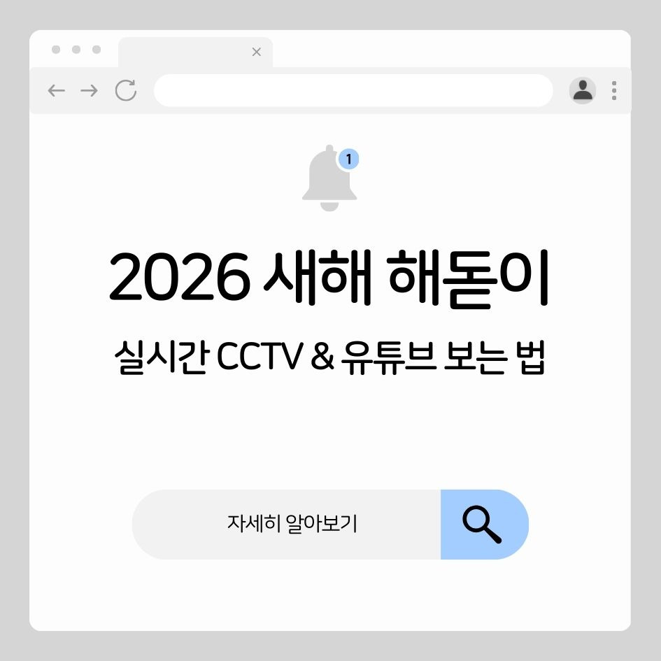 2026 새해 해돋이 CCTV 실시간 생중계