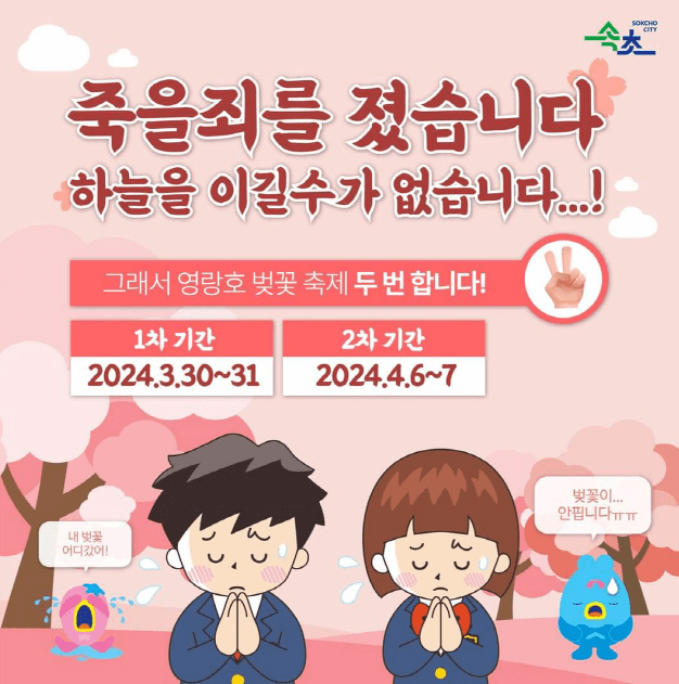 강원도 축제 일정