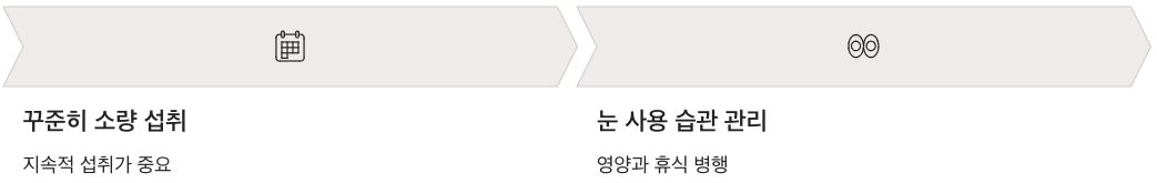 루테인 많은 식품을 꾸준히 소량 섭취