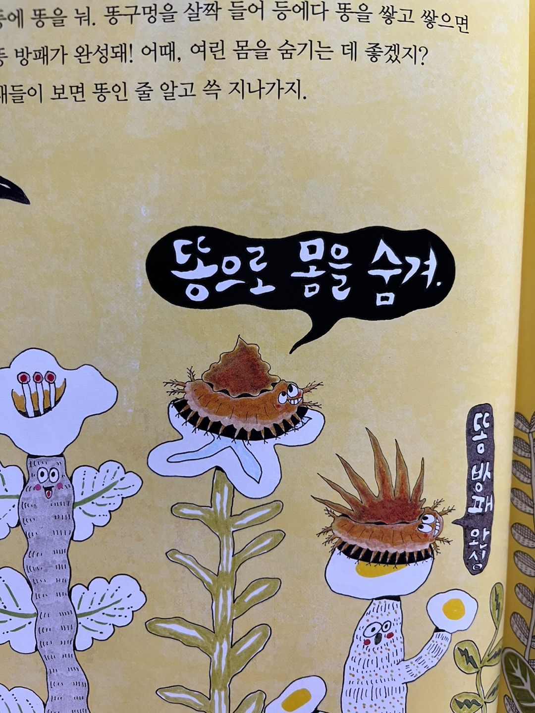 원리가 보이는 과학2