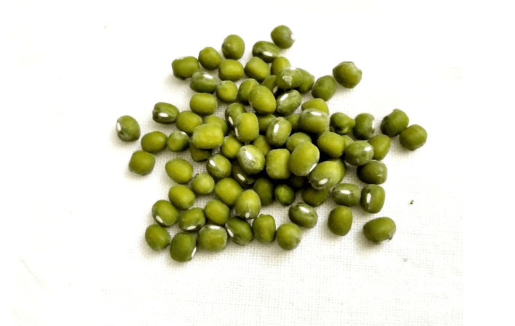 녹두 사진 - 1