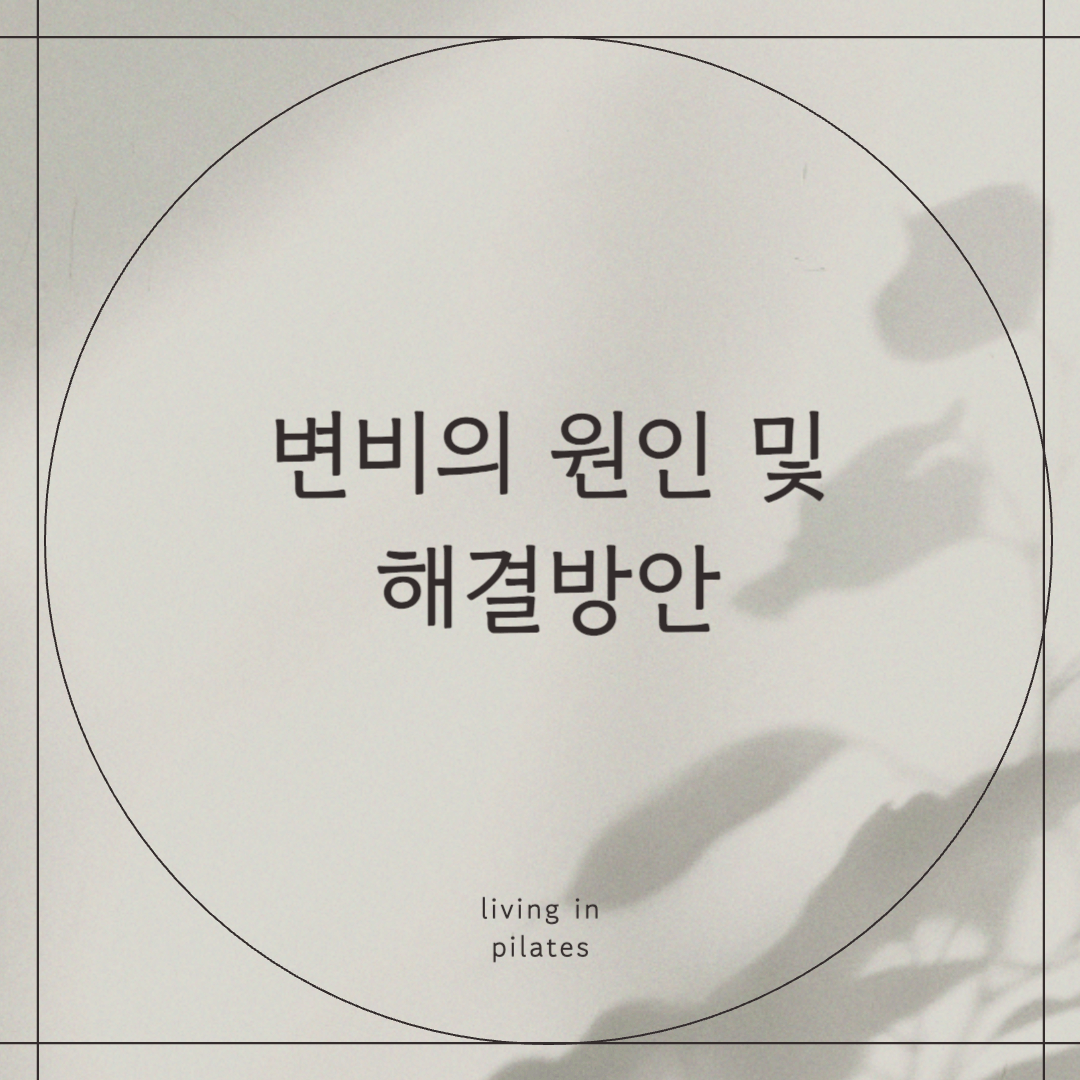 변비의 원인 및 해결방안