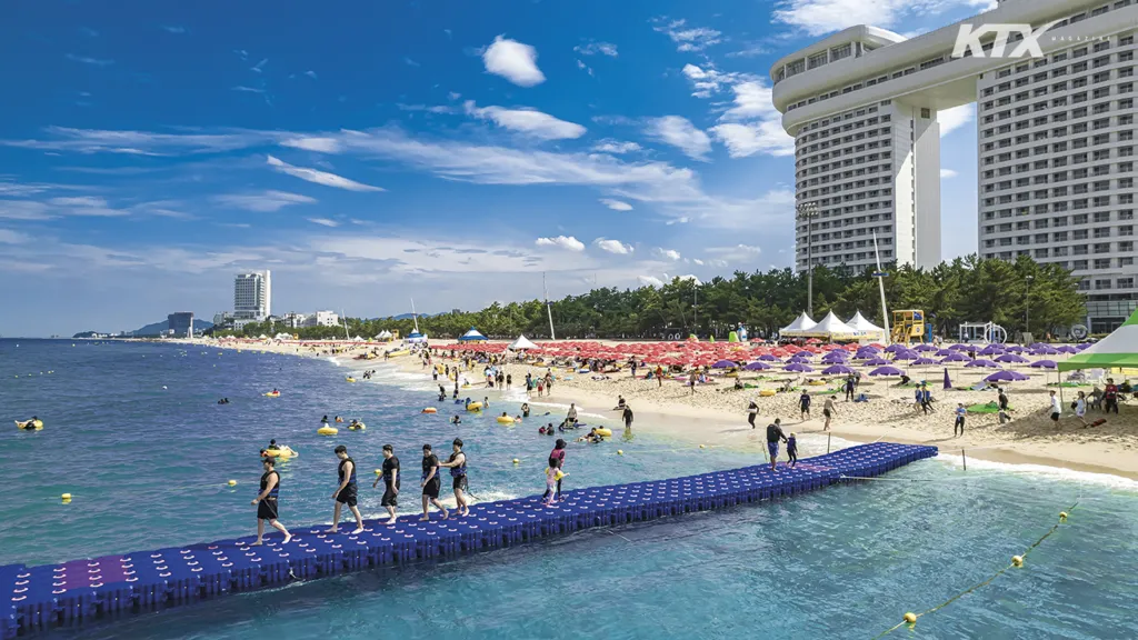 강원도 경포대 해수욕장과 강릉 가볼만한곳 best5 여행 자료집_3