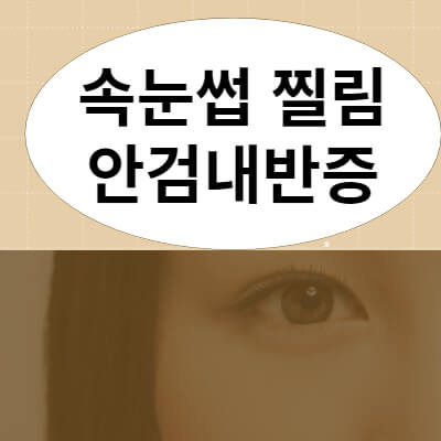 속눈썹 찔림 썸네일