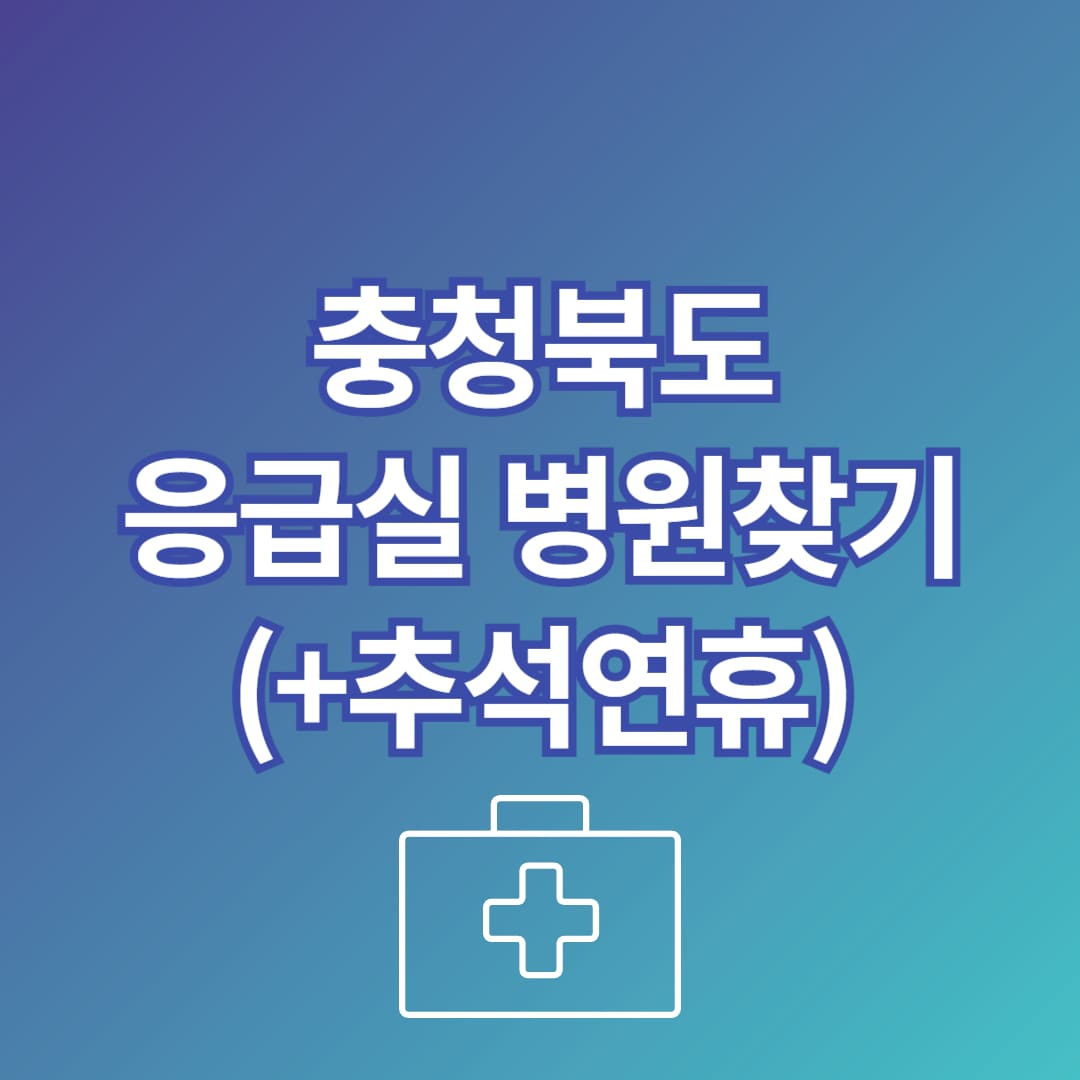 충북 추석 응급실 병원 찾는 방법