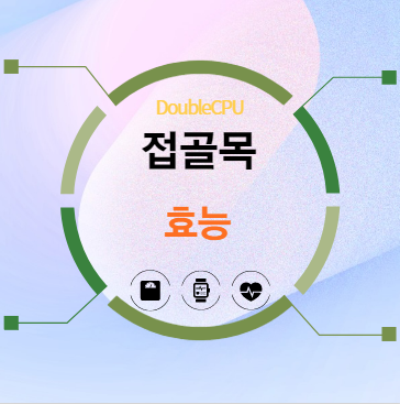 접골목 효능 탐구