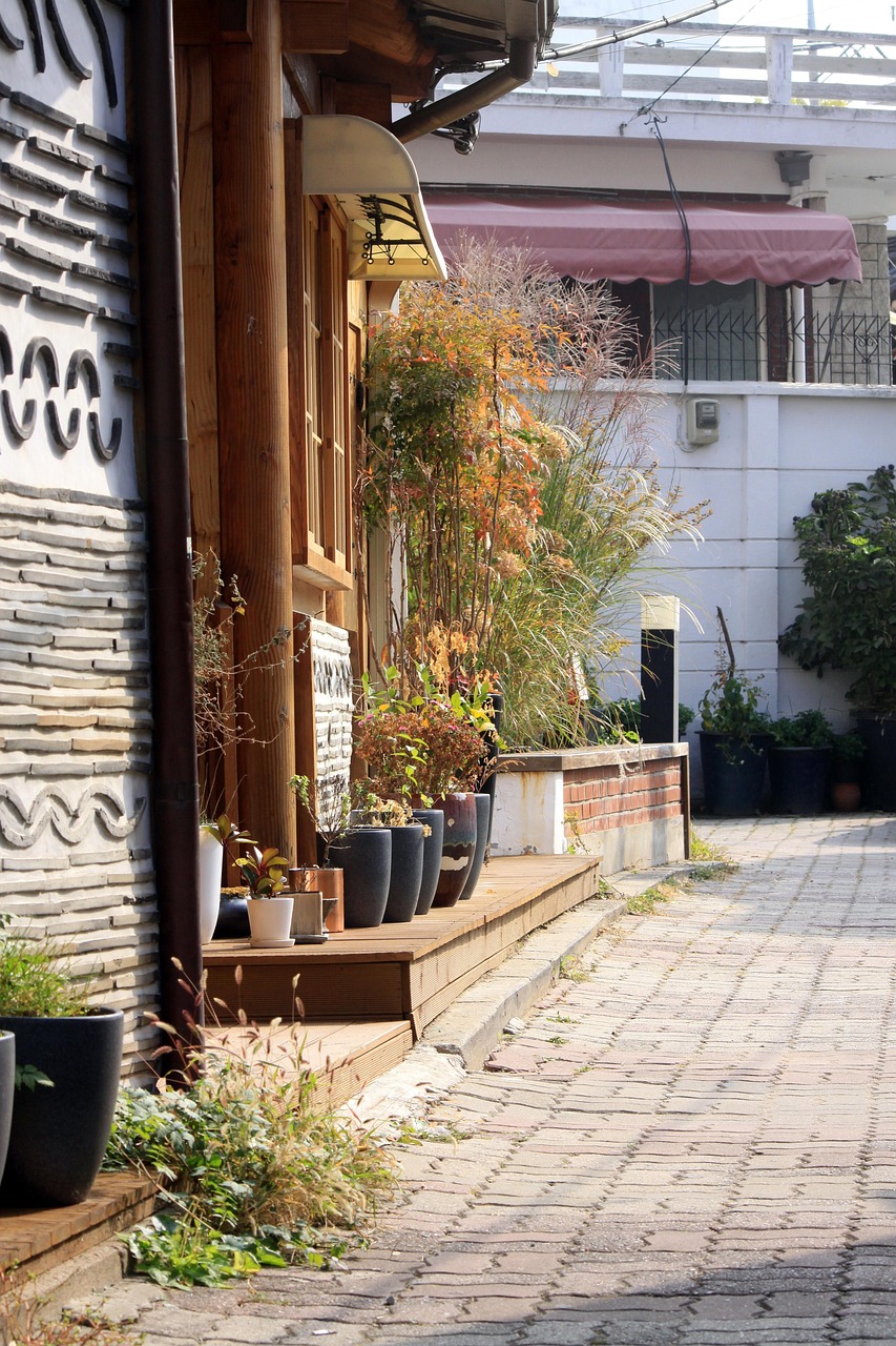 전주 한옥마을 체험관련 이미지