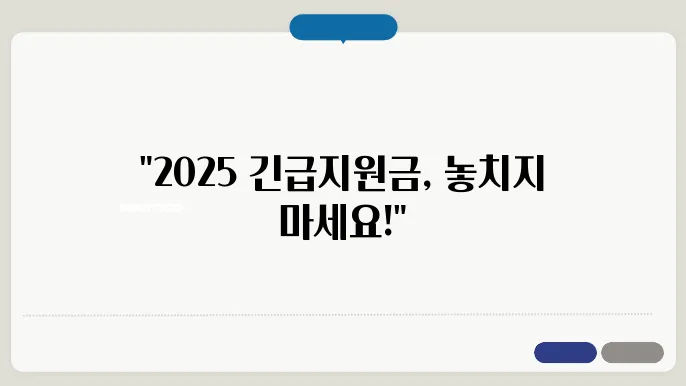 2025 긴급재난지원금을 통한 성공적인 사례