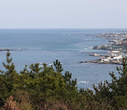 제주도 한달살기 4인가족 서우봉 정상