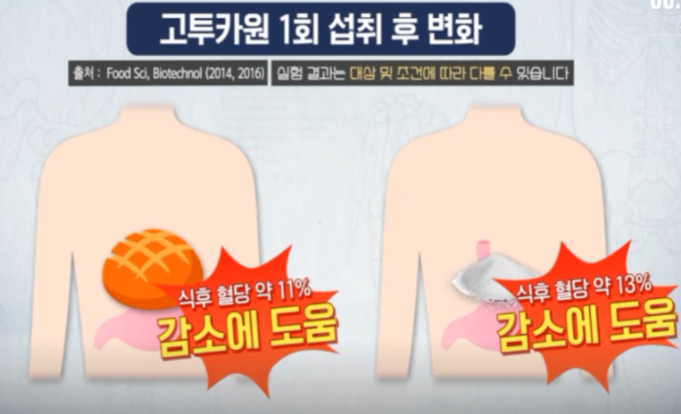 고투카원 효능